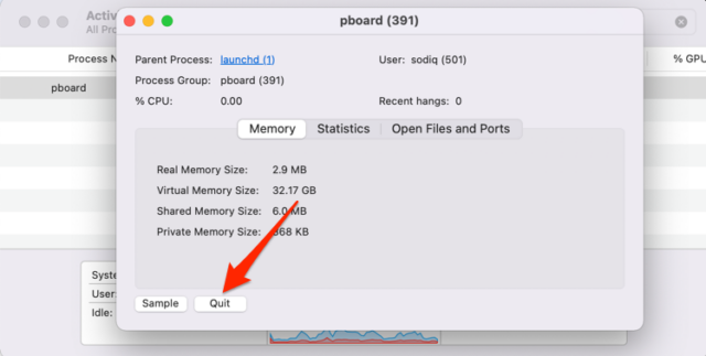 macos windowserver process